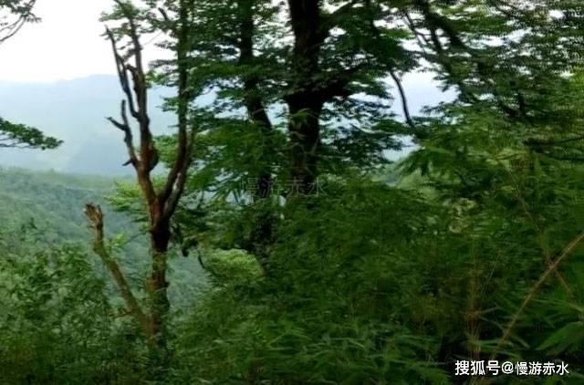 三小只僵尸的游戏时间7