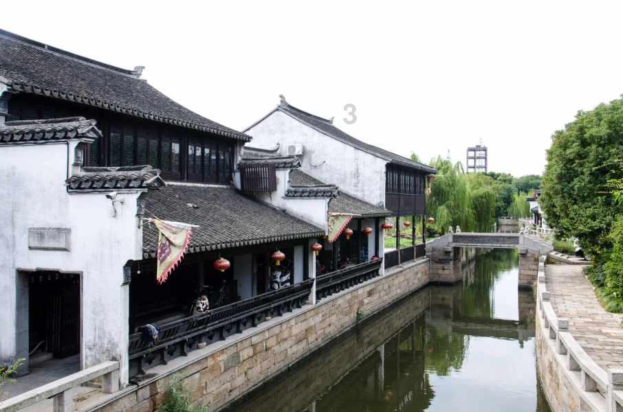 学习插花艺术